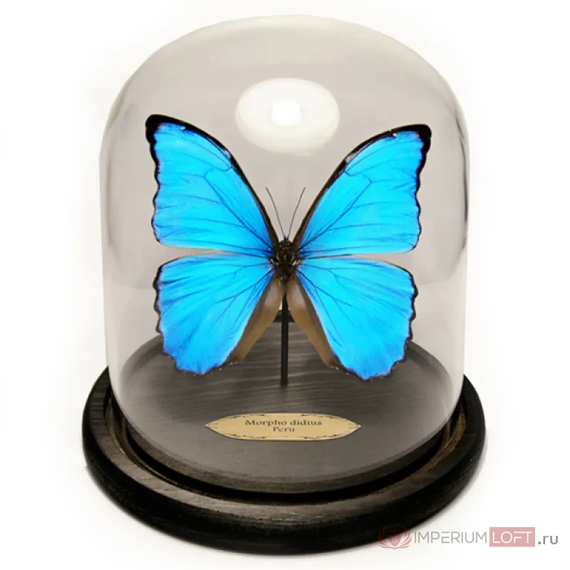 Аксессуар синяя бабочка в колбе от ImperiumLoft