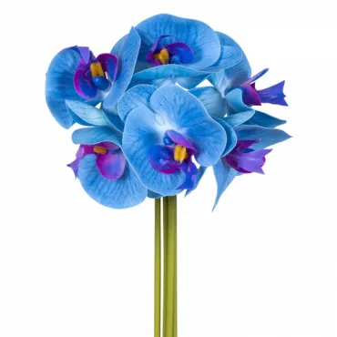 Декоративный искусственный цветок Bouquet Of Blue Orchids