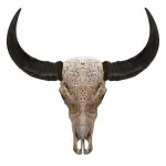 Череп буйвола Buffalo Skull Tribal Carving 1 от ImperiumLoft