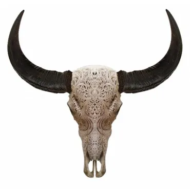 Череп буйвола Buffalo Skull Tribal Carving 1