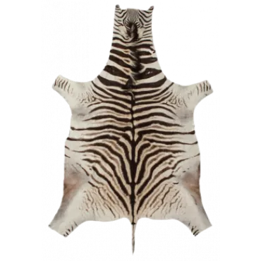 Натуральная шкура зебры Burchellii от ImperiumLoft