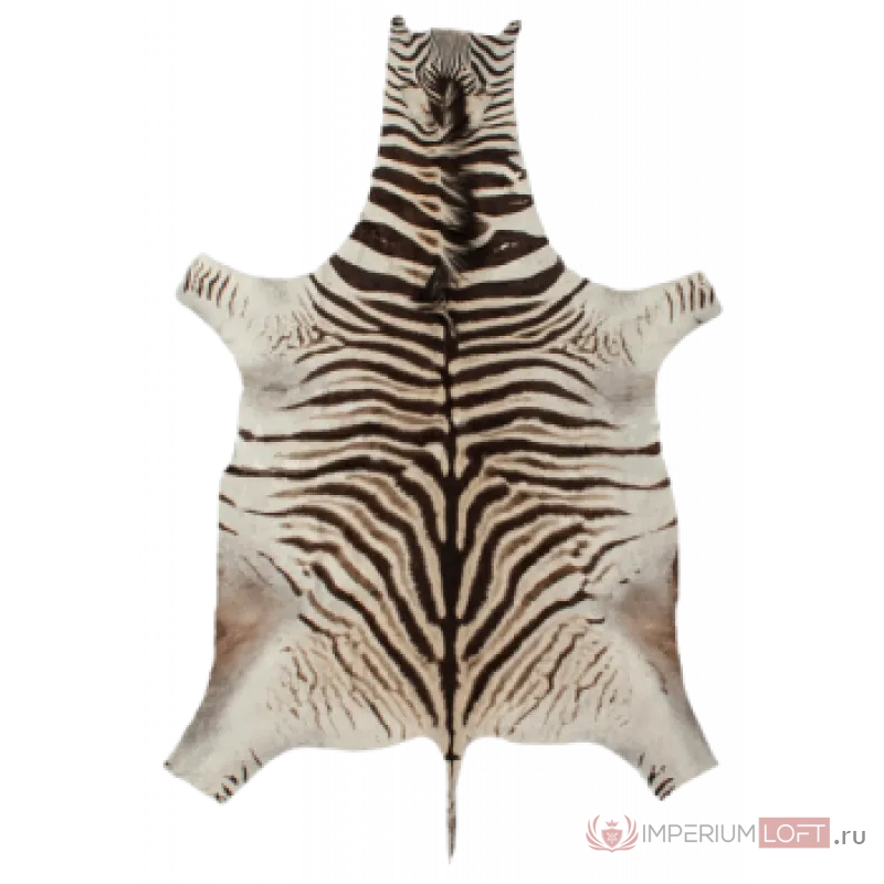 Натуральная шкура зебры Burchellii от ImperiumLoft