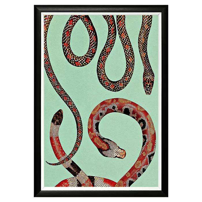 Постер Red Snakes от ImperiumLoft