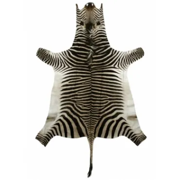 Натуральная шкура зебры Hartmannae
