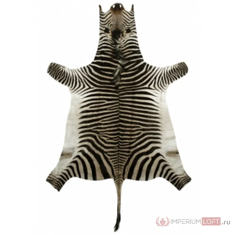 Натуральная шкура зебры Hartmannae от ImperiumLoft