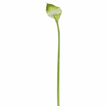 Декоративный искусственный цветок Calla от ImperiumLoft