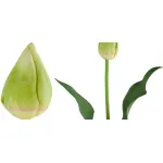 Декоративный искусственный цветок Tulip Bud