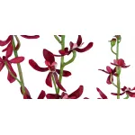 Декоративный искусственный цветок Dendrobium