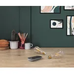 Светодиодная лампа Eglo LM_LED_E27 12256