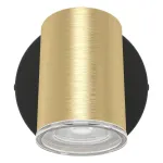Спот Eglo Consuma 1 300583