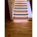 Светодиодная лента диммируемая с пультом Eglo 13,2W (LED) 2700-6500K L2000 900577
