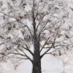 Картина Eglo ALAMINOS 423172