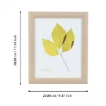 Фоторамка Eglo RENABIE 423094 от ImperiumLoft Фоторамка Eglo RENABIE 423094 от ImperiumLoft