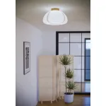 Светильник потолочный Eglo Summerhill 44063