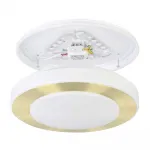Потолочный светильник Eglo LED CARPI 900369