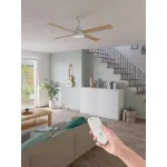 Потолочный вентилятор со светильником Eglo TRINIDAD 35084
