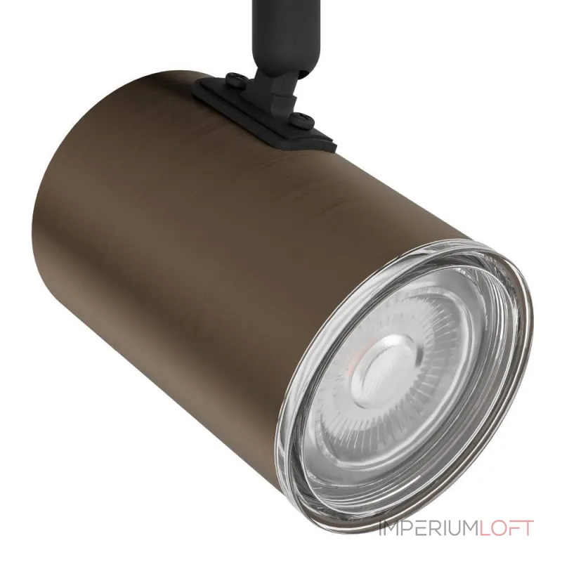 Спот Eglo Consuma 1 300591