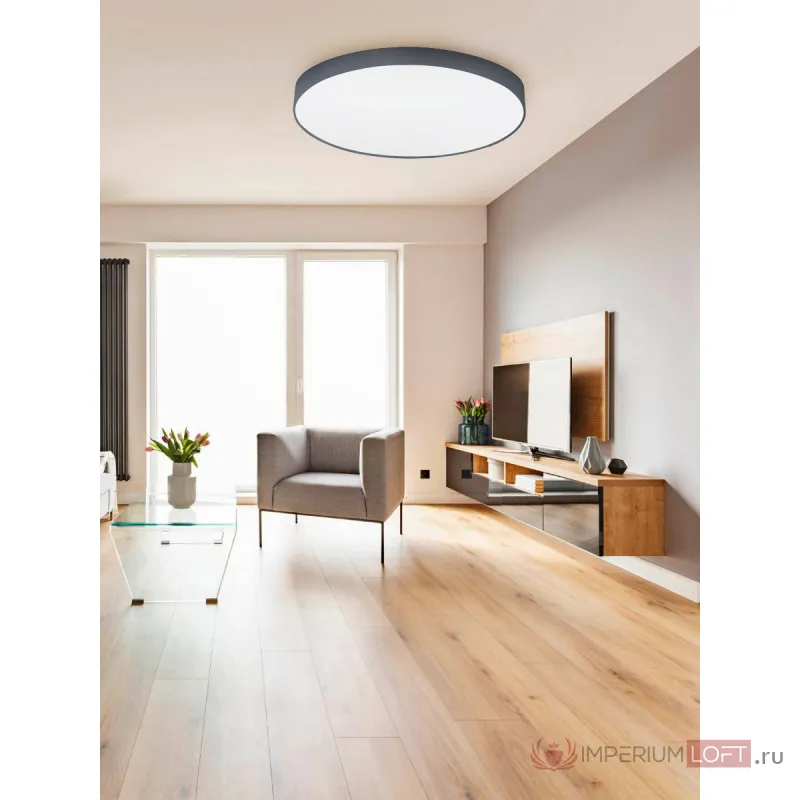 Светильник потолочный Eglo PASTERI 32952 от ImperiumLoft