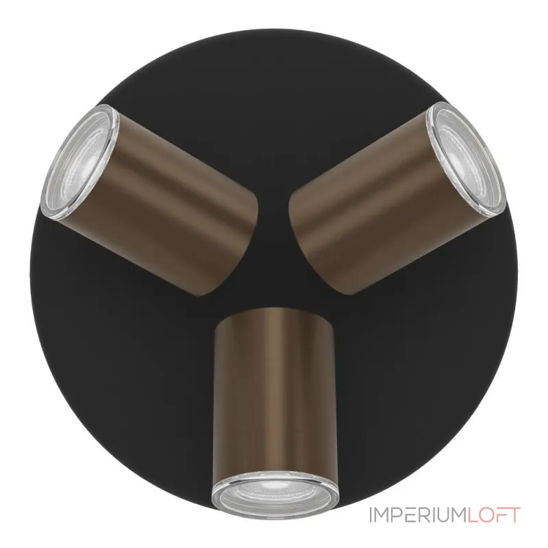 Спот Eglo Consuma 1 300591