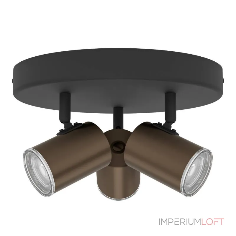 Спот Eglo Consuma 1 300591