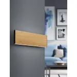 Бра Eglo ПРОМО Climene 390127