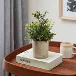 Искусственное растение в горшке Eglo CHITOSE 428025 от ImperiumLoft