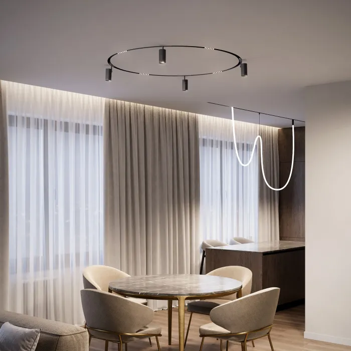 Трековый поворотный светильник для радиусного шинопровода Elektrostandard slim magnetic a066517 от ImperiumLoft