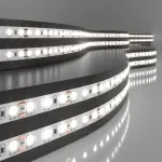 Комплект светодиодной ленты Elektrostandard 12 В 9,6 Вт/м 120 Led/м 2835 дневной белый 4200K 5 м SLS 01 WW IP 20