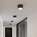 Светильник потолочный светодиодный Elektrostandard banti a063929
