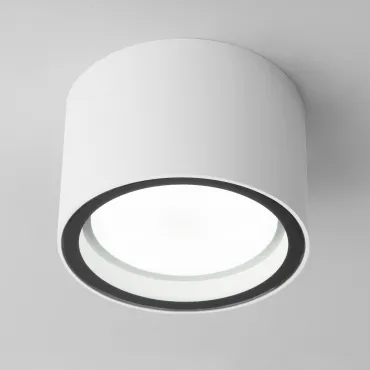 Накладной влагозащищенный светильник Elektrostandard light a057867