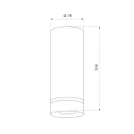 Потолочный светильник Elektrostandard Topper DLR022