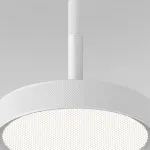 Подвесной светильник Elektrostandard plate a065412