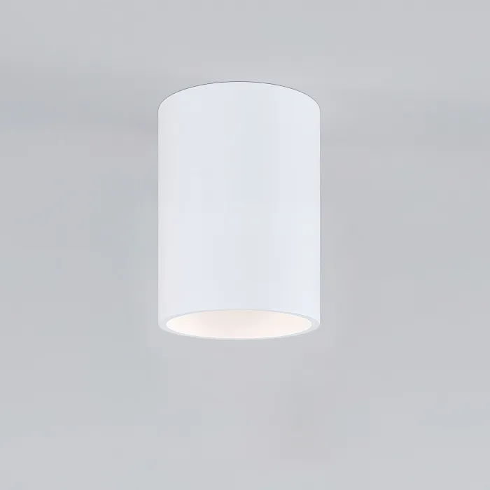 Светильник накладной Elektrostandard porter a064288 от ImperiumLoft