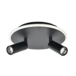 Настенно-потолочный светильник Escada 20046SMA/02LED BK