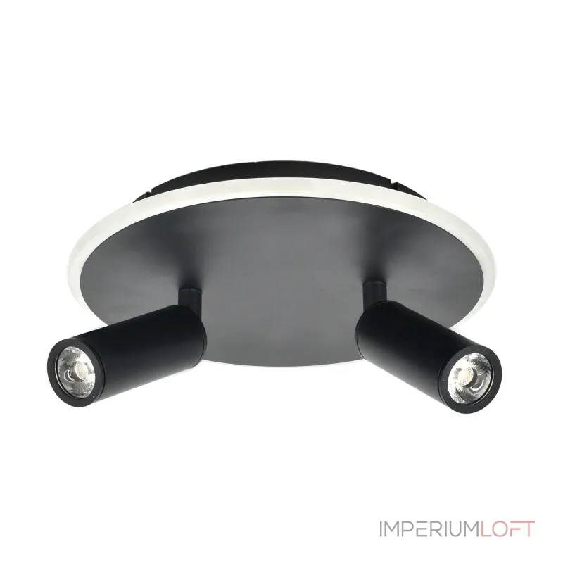 Настенно-потолочный светильник Escada 20046SMA/02LED BK Настенно-потолочный светильник Escada 20046SMA/02LED BK