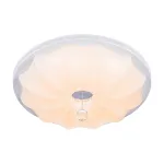 Потолочный светильник Escada STACY 10231/S LED