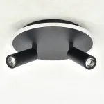 Настенно-потолочный светильник Escada 20046SMA/02LED BK