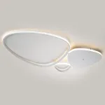 Потолочный светильник Escada INDEX 10289/3LED