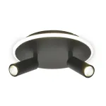 Настенно-потолочный светильник Escada 20046SMA/02LED BK