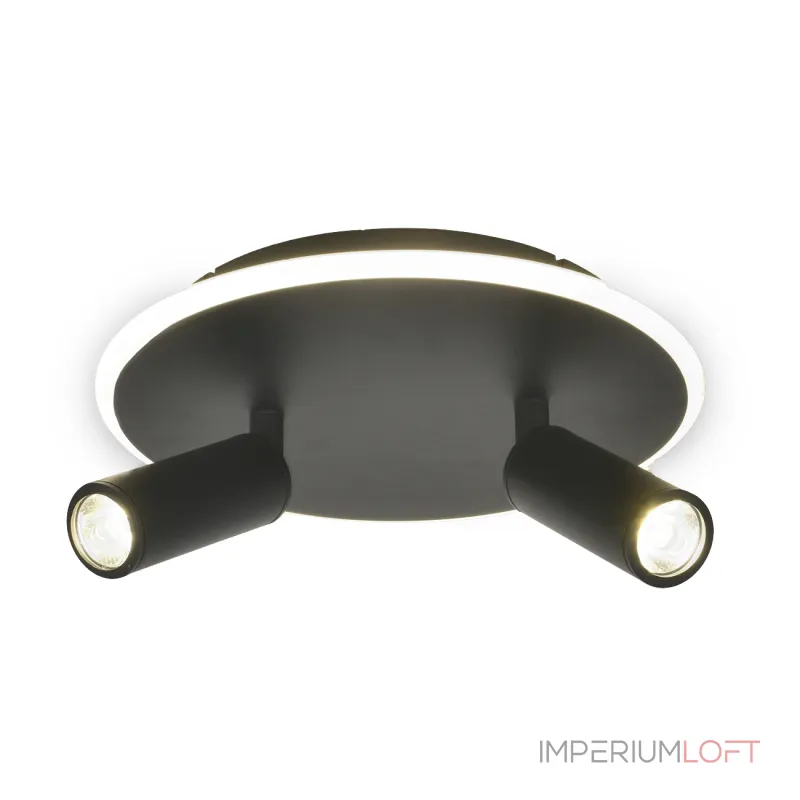 Настенно-потолочный светильник Escada 20046SMA/02LED BK Настенно-потолочный светильник Escada 20046SMA/02LED BK