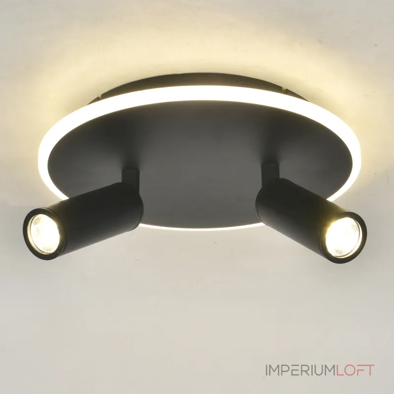 Настенно-потолочный светильник Escada 20046SMA/02LED BK Настенно-потолочный светильник Escada 20046SMA/02LED BK