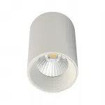 Потолочный светильник Escada 20003 20003SMU/01LED SWH