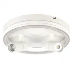 Escada 20044SMA/03 LED 43W 4000K белый