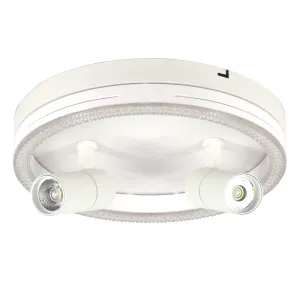Потолочный светильник Escada 20044SMA/03 LED 43W 4000K белый