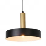 Подвесной светильник Escada 1110/1S E27*60W Black