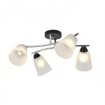 Потолочный светильник Escada LAVATERA 2132/4P