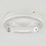 Escada 20044SMA/03 LED 43W 4000K белый
