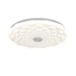 Потолочный светильник Escada POLLY 610/PL LED