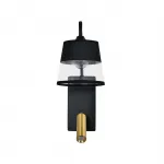 Настенный светильник Escada COMFY 598/1A Black/Brass