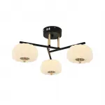 Потолочный светодиодный светильник Escada HALMA 10301/3LED от ImperiumLoft